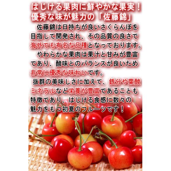 佐藤錦 さくらんぼ 約1kg M～Lサイズ 訳あり品 山形県産 バラ詰め 甘み豊かでお得なサクランボ！04