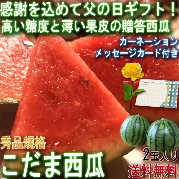 遅れてごめんね 父の日ギフト 紅こだま西瓜 2玉入り 産地厳選 秀品 化粧箱入り 贈答品 旬の産地で育てた味わい抜群のフルーツ！ メッセージカード・カーネーション同梱02