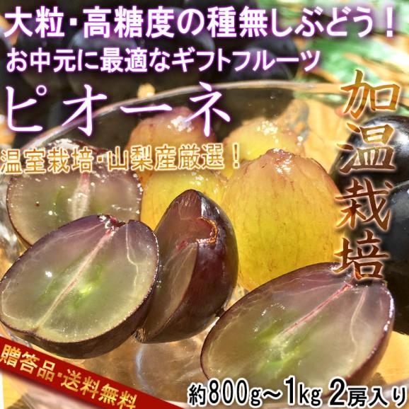温室ピオーネ 種無し葡萄 約800g～1kg 2房 贈答規格 山梨県産 ギフト最適な本場の高糖度ブドウ！濃厚な味と爽やかな風味02