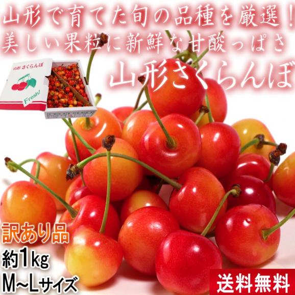 山形さくらんぼ 約1kg M～Lサイズ 山形県産 訳あり品 佐藤錦・紅秀峰・紅てまり・山形C12号など人気のサクランボを厳選！02