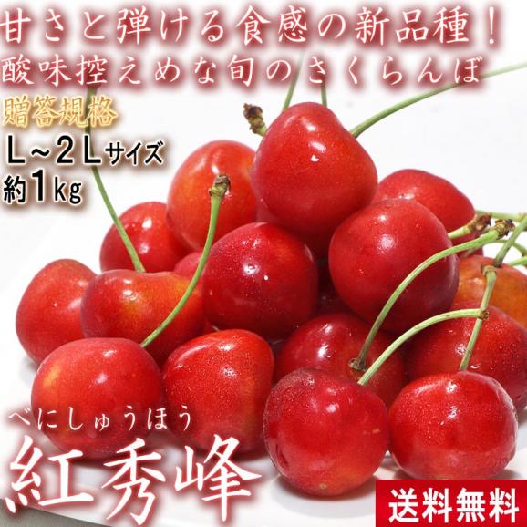 さくらんぼ 紅秀峰 1kg L～2Lサイズ 山形県産 贈答規格 高い糖度と控えめな酸味のギフトフルーツ！02