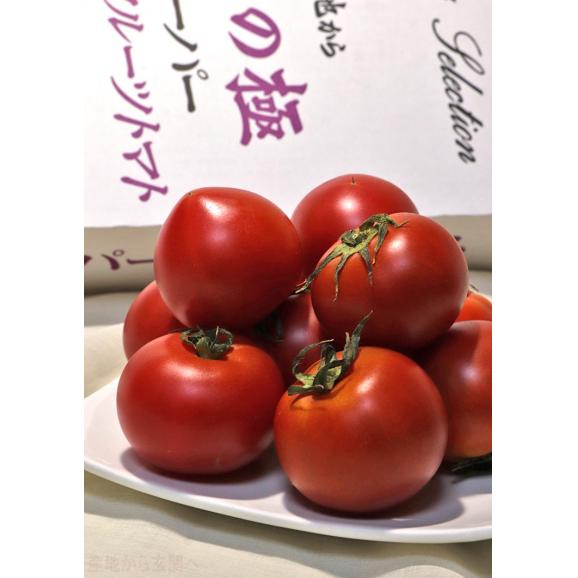 北の極 スーパーフルーツトマト 約2kg S～Lサイズ 北海道産 贈答規格 トマト極の会が誇る最高峰の味と品質！02