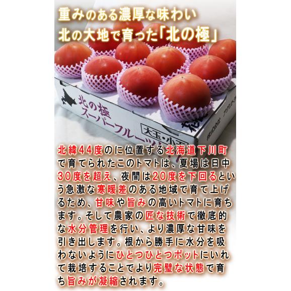 北の極 スーパーフルーツトマト 約2kg S～Lサイズ 北海道産 贈答規格 トマト極の会が誇る最高峰の味と品質！04