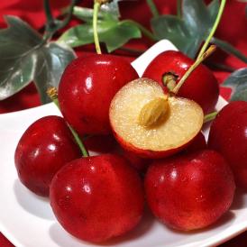 極実 大粒さくらんぼ 紅てまり 約350g×2 2～4Lサイズ 山形県産 贈答規格 JA共撰品 農林水産大臣賞受賞の高級サクランボ！