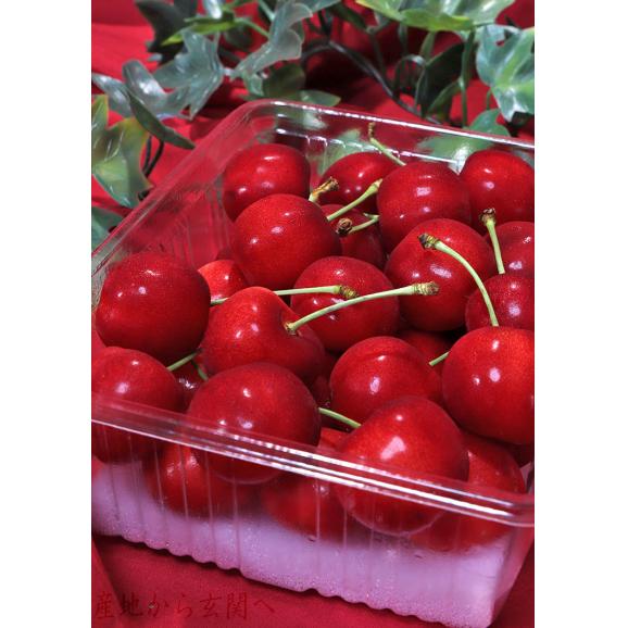 極実 大粒さくらんぼ 紅てまり 約350g×2 2～4Lサイズ 山形県産 贈答規格 JA共撰品 農林水産大臣賞受賞の高級サクランボ！03