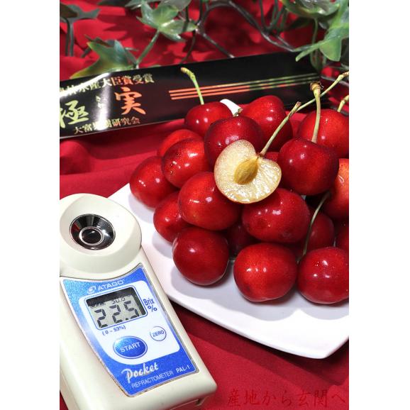 極実 大粒さくらんぼ 紅てまり 約350g×2 2～4Lサイズ 山形県産 贈答規格 JA共撰品 農林水産大臣賞受賞の高級サクランボ！04