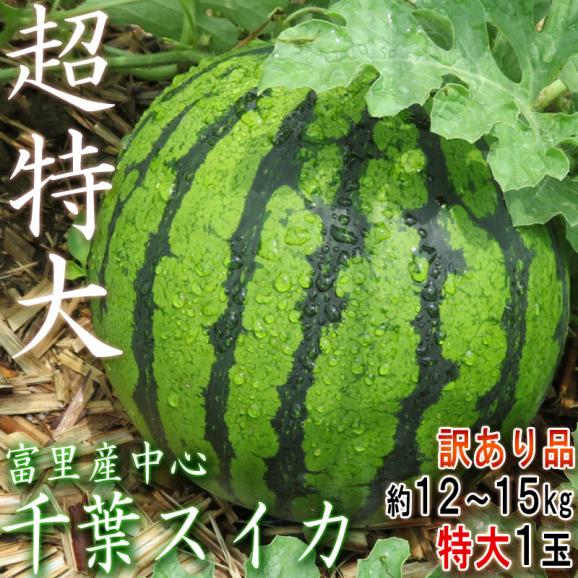 特大スイカ 約12～15kg 5～7L  1玉千葉県産 訳あり品 空洞・棚落ち含む 富里・成田・船穂など国内屈指の産地厳選！02