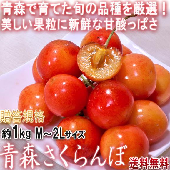 青森さくらんぼ 約1kg M～2Lサイズ 青森県産 贈答規格 佐藤錦・紅秀峰・花駒・正光錦など旬のサクランボを厳選！02