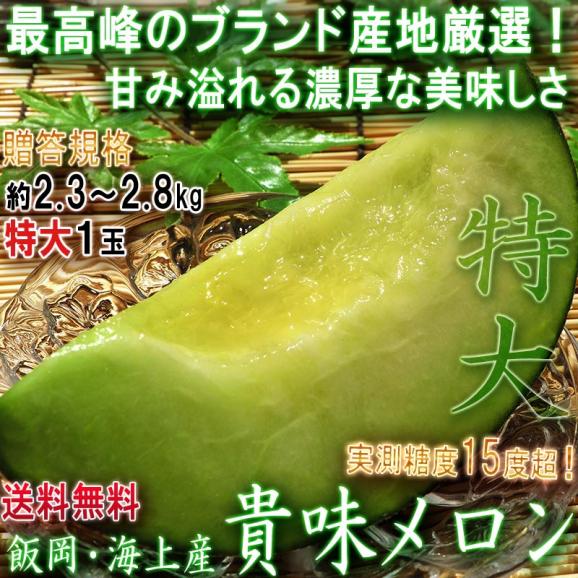 貴味メロン 特大サイズ 飯岡・海上産 約2.3～2.8kg 1玉入り 贈答規格 千葉県産 国内屈指のメロン産地で育てたギフト果物！濃厚な甘さと抜群の味02