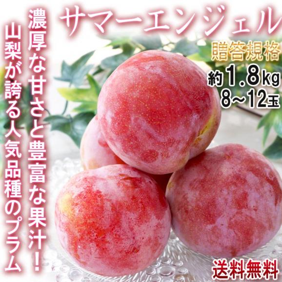 サマーエンジェル プラム 約1.8kg 8～12玉 山梨県産 贈答規格 濃厚な甘さと程よい酸味！果汁溢れる旬のフルーツ02