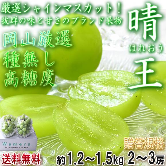 晴王 はれおう 厳選シャインマスカット 種無し白ぶどう 約1.2～1.5kg 2～3房 岡山県産 贈答規格 ギフト葡萄 皮ごと食べる濃厚な甘さの特産品フルーツ！ ブドウ02