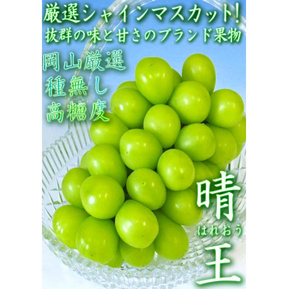 晴王 はれおう 厳選シャインマスカット 種無し白ぶどう 約1.2～1.5kg 2～3房 岡山県産 贈答規格 ギフト葡萄 皮ごと食べる濃厚な甘さの特産品フルーツ！ ブドウ03