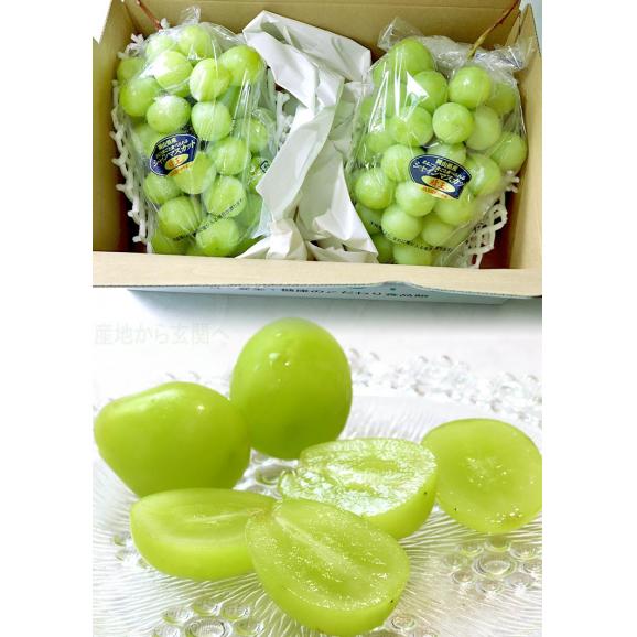 晴王 はれおう 厳選シャインマスカット 種無し白ぶどう 約1.2～1.5kg 2～3房 岡山県産 贈答規格 ギフト葡萄 皮ごと食べる濃厚な甘さの特産品フルーツ！ ブドウ04