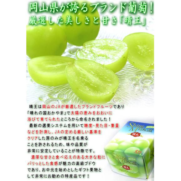 晴王 はれおう 厳選シャインマスカット 種無し白ぶどう 約1.2～1.5kg 2～3房 岡山県産 贈答規格 ギフト葡萄 皮ごと食べる濃厚な甘さの特産品フルーツ！ ブドウ05