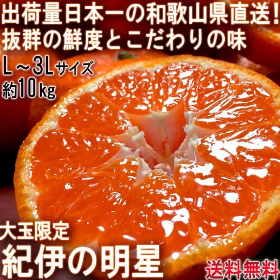 産地直送 紀伊の明星 温州みかん 約10kg L～3Lサイズ 和歌山県産 大玉限定 蜜柑の出荷量日本一！和歌山で育てた抜群の鮮度と味わい02