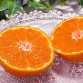 送料無料 最高峰の大産地が手掛けた味わい抜群のブランド果物！