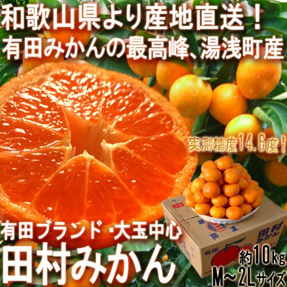 産地直送 田村みかん 大玉中心 約10kg M～2Lサイズ 和歌山県・湯浅町産限定 有田ミカンのトップブランド！最高峰の美味しさを誇る濃厚な甘さの蜜柑02