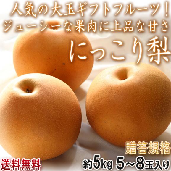 にっこり梨 約5kg 5~8玉 秀品 茨城県産 大玉限定 贈答規格 味わい抜群の贈答フルーツ!果汁豊富で高糖度の大玉梨02