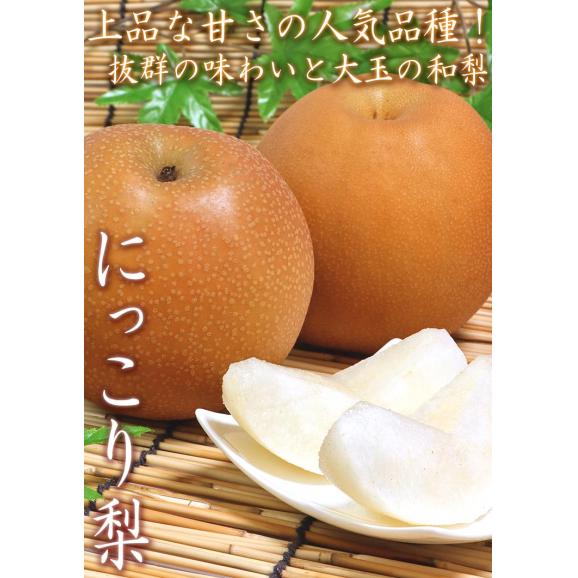 にっこり梨 約5kg 5~8玉 秀品 茨城県産 大玉限定 贈答規格 味わい抜群の贈答フルーツ!果汁豊富で高糖度の大玉梨03
