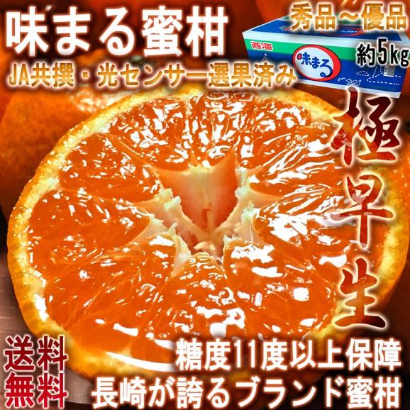 極早生味まる蜜柑 約5kg 長崎県産 贈答規格 JAながさき西海 糖度保証で安定した甘さ！爽やかな風味の西海ブランドみかん02