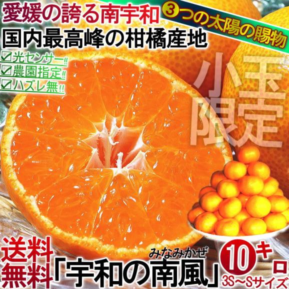 宇和の南風 みかん 愛媛県産 10kg 極早生から早生品種 3S～Sサイズ 小玉限定 JAえひめ南 光センサー　みなみかぜ　早生　宮川等02