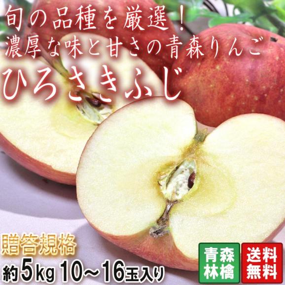 ひろさきふじ フジ林檎 赤りんご 約5kg 10～16玉 青森県産 贈答規格 旬の品種を厳選！濃厚な味と甘さのあおもりリンゴ02