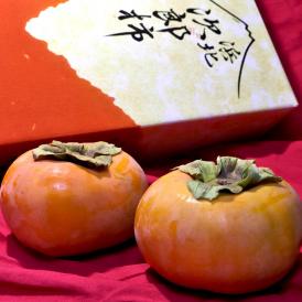 浜北次郎柿 ブランド柿 約2.3kg 8～11玉 静岡県産 贈答規格 JAとぴあ浜松共撰 浜松町が誇る特産品のフルーツ！硬めの果肉に濃厚な甘さ