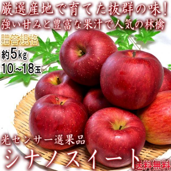 シナノスイート 赤りんご 約5kg 10～18玉 山形県産 贈答規格 JAさがえ西村山中心 強い甘みと控えめな酸味の林檎！光センサー選果のギフトフルーツ02