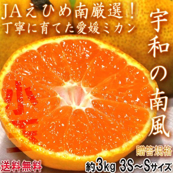 宇和の南風 みかん 極早生から早生品種 約3kg 3S～Sサイズ 愛媛県産 小玉限定 JAえひめ南にて厳選！えひめが誇る旬の味02