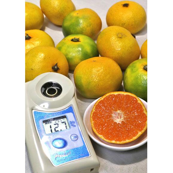 宇和の南風 みかん 極早生から早生品種 約3kg 3S～Sサイズ 愛媛県産 小玉限定 JAえひめ南にて厳選！えひめが誇る旬の味03
