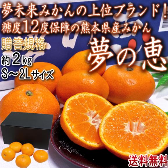 夢の恵 温州みかん 約2kg S~2Lサイズ 熊本県産 贈答規格 光センサー選別ミカン!糖度12度保証02