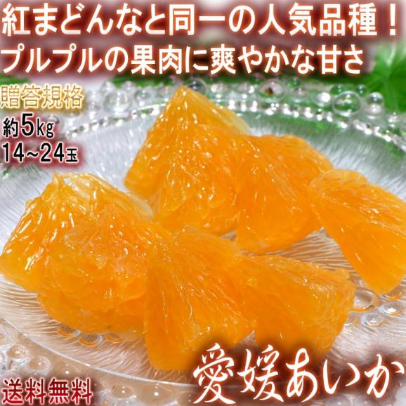 愛媛あいか 約5kg 14~24玉入り 愛媛県産 贈答規格 個人農家産 紅まどんなと同一品種!プルプルの果肉に豊かな甘み02