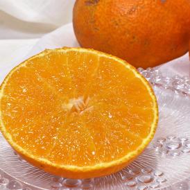 媛まどんな 約5kg S～Lサイズ 愛媛県産 訳あり品 紅まどんなと同一品種！プルプルの果肉に豊かな甘み