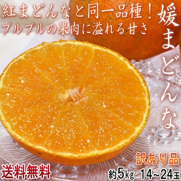 媛まどんな 約5kg S～Lサイズ 愛媛県産 訳あり品 紅まどんなと同一品種！プルプルの果肉に豊かな甘み02