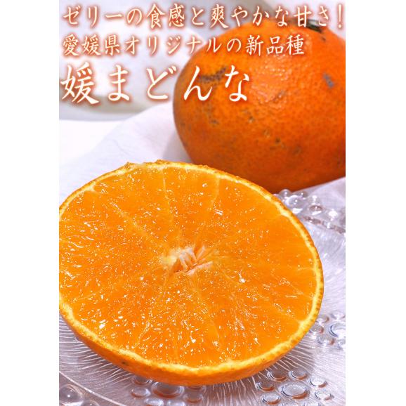 媛まどんな 約5kg S～Lサイズ 愛媛県産 訳あり品 紅まどんなと同一品種！プルプルの果肉に豊かな甘み03
