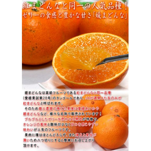 媛まどんな 約5kg S～Lサイズ 愛媛県産 訳あり品 紅まどんなと同一品種！プルプルの果肉に豊かな甘み05