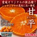 甘平 かんぺい 約5kg M~5Lサイズ 愛媛県産 シャキシャキの食感と高い糖度!愛媛オリジナルの高級みかん