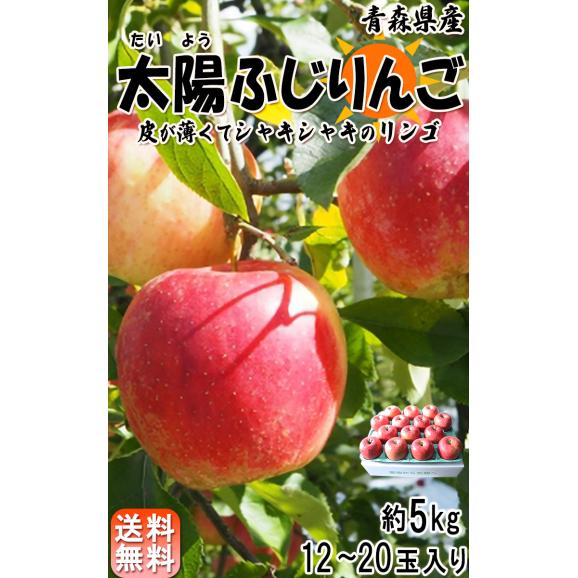 太陽ふじりんご 赤りんご 約5kg 12～20玉 青森県産 みずみずしいシャキッとした食感の青森リンゴ02
