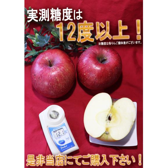 太陽ふじりんご 赤りんご 約5kg 12～20玉 青森県産 みずみずしいシャキッとした食感の青森リンゴ04