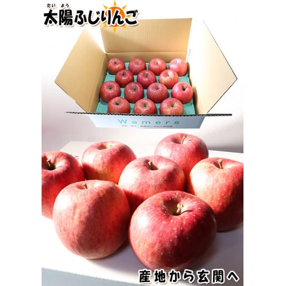 太陽ふじりんご 赤りんご 約5kg 12～20玉 青森県産 みずみずしいシャキッとした食感の青森リンゴ05