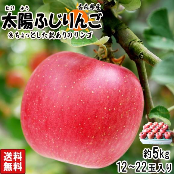 太陽ふじりんご 訳あり 約５kg 12玉～22玉 青森県産 みずみずしいシャキッとした食感の青森リン サンフジ リンゴ 林檎 訳アリ02