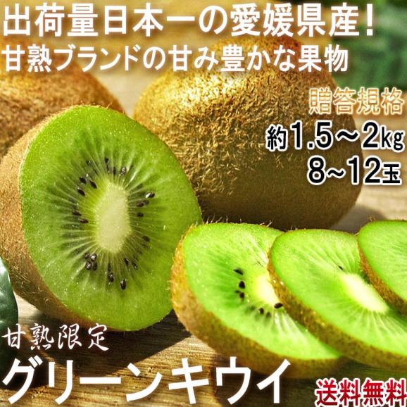 特大グリーンキウイ 約1.5~2kg 8~12玉 愛媛県産 贈答規格 JA共撰品 出荷量全国1位の愛媛キウイフルーツ!実測糖度16度の美味しいキウイ02