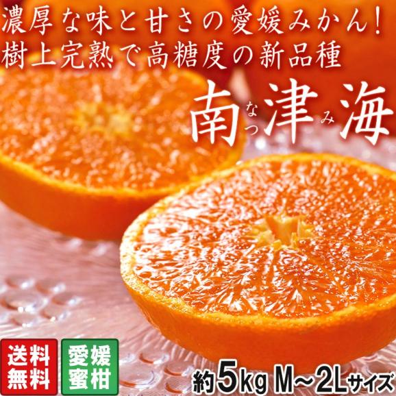 南津海 なつみ蜜柑 約5kg M~3Lサイズ 愛媛県産 カラマンダリンから生まれた新品種!濃厚な甘さの愛媛みかん02