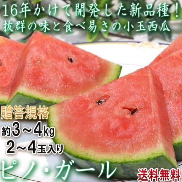 ピノ・ガール 小玉スイカ 約3～4kg 2～4玉 茨城県産 贈答規格 タネごと食べられる新品種！抜群の味と食べ易さ02