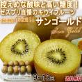 サンゴールドキウイ キウイフルーツ 9〜13玉 ニュージーランド産 贈答規格 控えめな酸味と豊かな甘さ！世界有数のキウイ商社、ゼスプリが誇る抜群の味