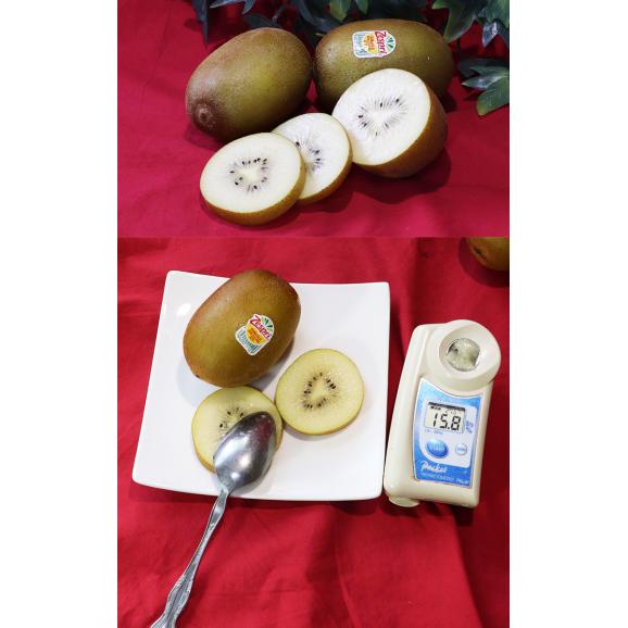 サンゴールドキウイ キウイフルーツ 9〜13玉 ニュージーランド産 贈答規格 控えめな酸味と豊かな甘さ!世界有数のキウイ商社、ゼスプリが誇る抜群の味03