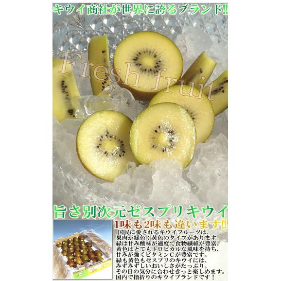 サンゴールドキウイ キウイフルーツ 9〜13玉 ニュージーランド産 贈答規格 控えめな酸味と豊かな甘さ!世界有数のキウイ商社、ゼスプリが誇る抜群の味04