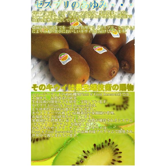 サンゴールドキウイ キウイフルーツ 9〜13玉 ニュージーランド産 贈答規格 控えめな酸味と豊かな甘さ!世界有数のキウイ商社、ゼスプリが誇る抜群の味05