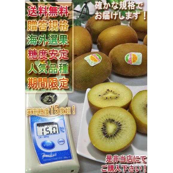 サンゴールドキウイ キウイフルーツ 9〜13玉 ニュージーランド産 贈答規格 控えめな酸味と豊かな甘さ!世界有数のキウイ商社、ゼスプリが誇る抜群の味06