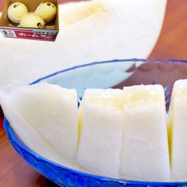 ホームランメロン 約4～5kg 熊本県産 白い果皮のノーネットメロン！本場で育てた上品な甘さにとろける触感